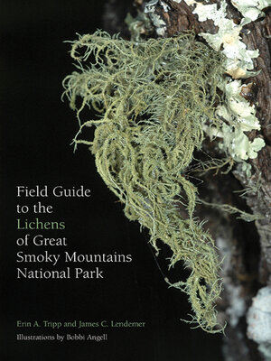 cover image of Field Guide to the Lichens of Great Smoky Mountains National Park